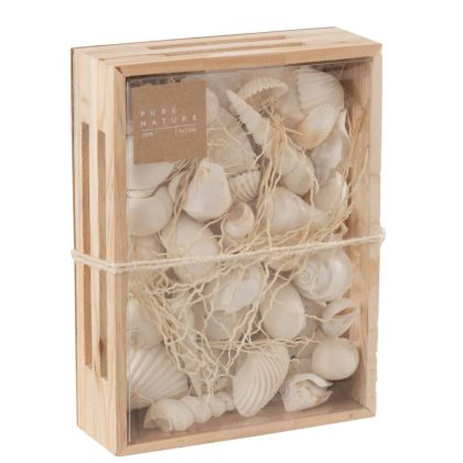Box Rectangle Shells White / Boks rektangel skjell Hvit